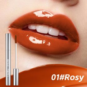4 Colors Lip Gloss,Hydrating Lip Tint,Long Lasting Waterproof, High Shine Glossy Mirror Lip Stain, Long Lasting Moisturizing,Non Sticky, Romantic
